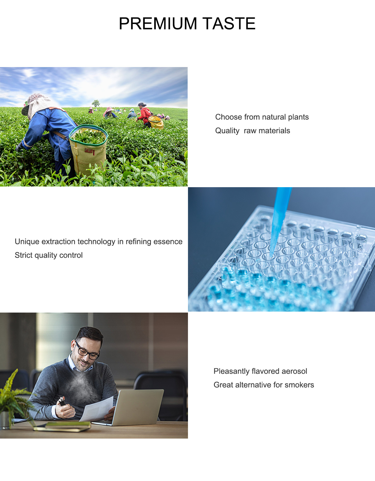 Forest(Jasmine-Tea)_05